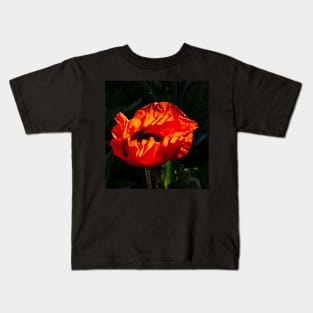 Red poppy blossom highlighted by the morning sunshine Kids T-Shirt